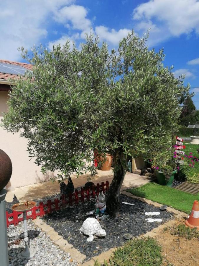 La Roulotte Des Trois Arbres Bed and Breakfast Oradour-sur-Glane Buitenkant foto