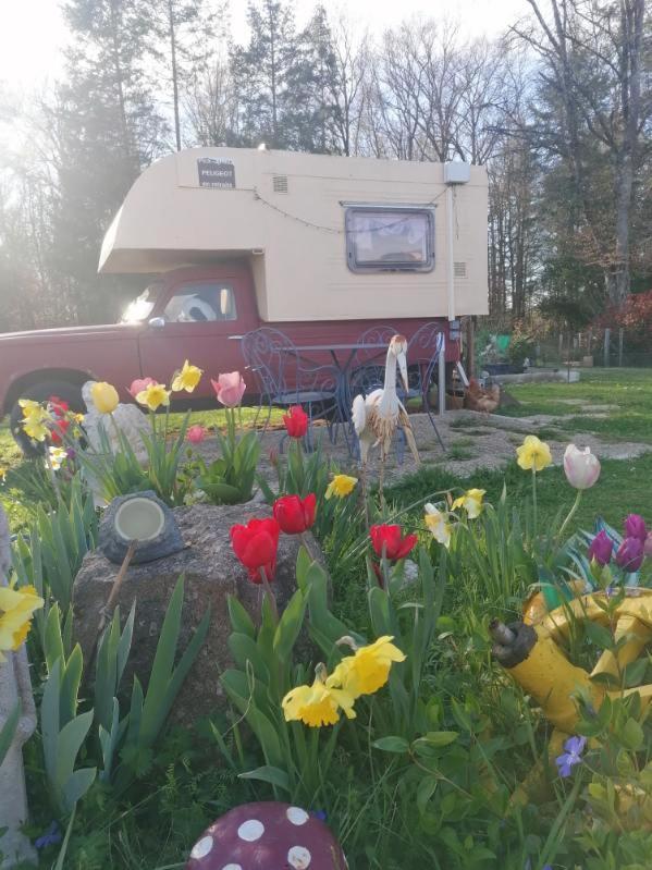 La Roulotte Des Trois Arbres Bed and Breakfast Oradour-sur-Glane Buitenkant foto